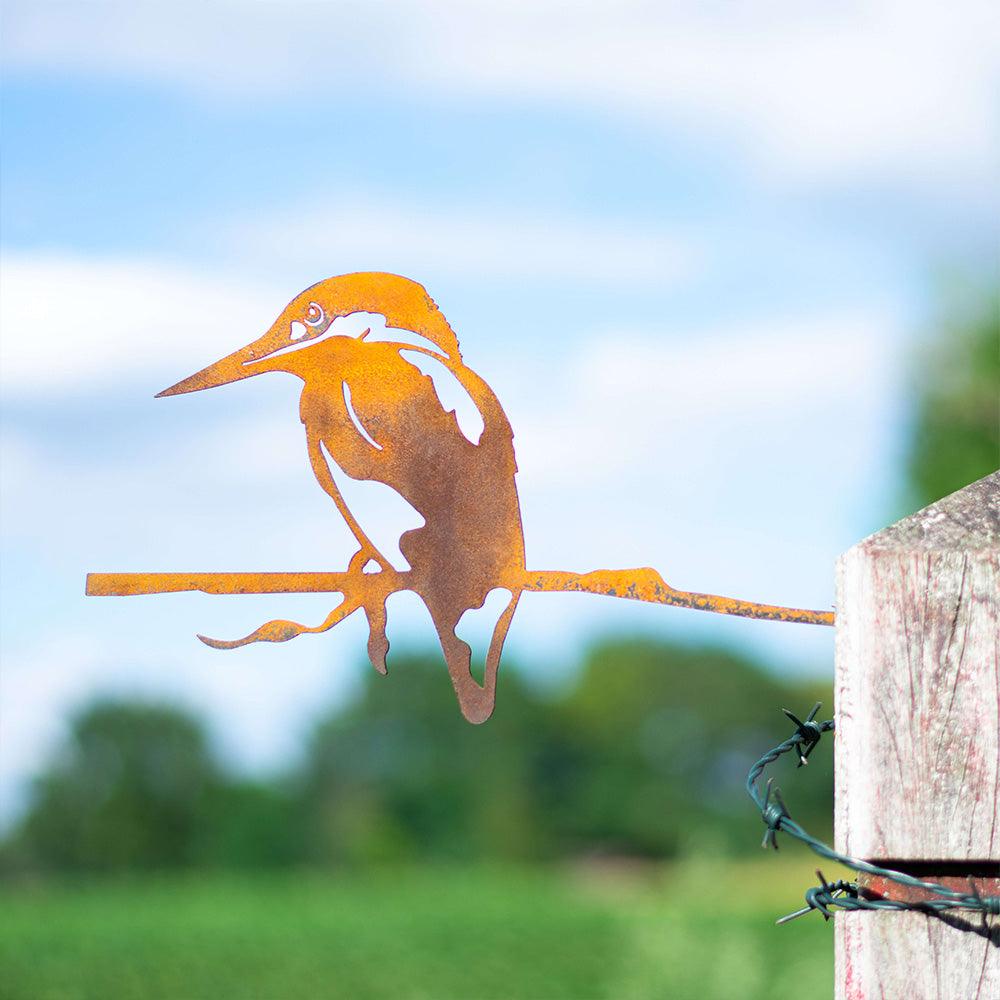 Metalbirds - IJsvogel - Lifestaal